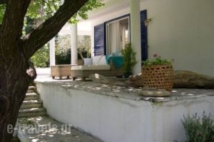 Villas Ftelia_best prices_in_Villa_Sporades Islands_Skiathos_Skiathos Chora