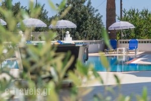 Athena Apartments_best deals_Apartment_Crete_Heraklion_Stalida