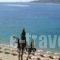 New Aegli Hotel_best prices_in_Hotel_Piraeus islands - Trizonia_Trizonia_Trizonia Rest Areas