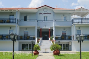 Melathron_holidays_in_Apartment_Aegean Islands_Thasos_Thasos Chora