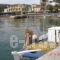 Dina Maisonettes_best prices_in_Room_Thessaly_Magnesia_Platania