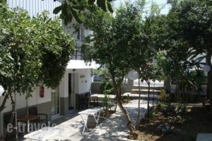 Vicky Studios_holidays_in_Hotel_Aegean Islands_Limnos_Myrina