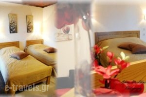 Asimina Guesthouse_lowest prices_in_Hotel_Central Greece_Fokida_Eptalofos