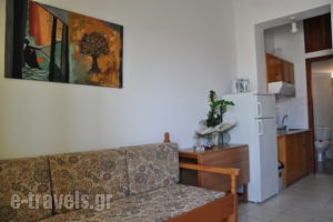 Angela_accommodation_in_Apartment_Crete_Chania_Daratsos