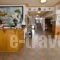 Elios Holidays Hotel_accommodation_in_Hotel_Sporades Islands_Skopelos_Neo Klima - Elios