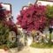 Villa Galini - Sifis Apartments_best deals_Villa_Crete_Chania_Georgioupoli