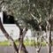 Civitel Attik_best deals_Hotel_Central Greece_Attica_Athens