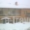 Chalet Sourino_best deals_Hotel_Macedonia_kastoria_Aposkepos