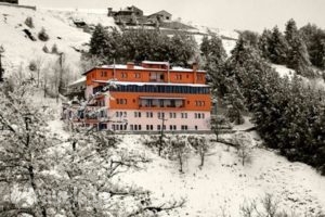 Chalet Sourino_accommodation_in_Hotel_Macedonia_kastoria_Aposkepos
