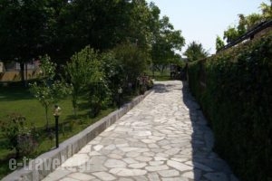 Villa La Luna_travel_packages_in_Macedonia_Pieria_Litochoro
