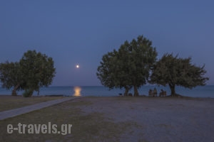 Olympia Mare_best prices_in_Apartment_Dodekanessos Islands_Kos_Kos Rest Areas