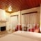 Papanastasiou_best deals_Hotel_Thessaly_Trikala_Elati