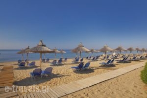 Blue Dolphin Hotel_best deals_Hotel_Macedonia_Halkidiki_Kassandreia