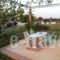 Ta Spitakia Tsarbopoulos_best deals_Room_Peloponesse_Messinia_Kyparisia