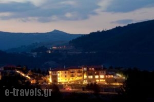 Pindos Palace_best prices_in_Hotel_Macedonia_Grevena_Lavdas