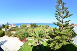 Panorama Studios_accommodation_in_Apartment_Ionian Islands_Zakinthos_Zakinthos Rest Areas