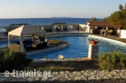Lassion Golden Bay_s __1