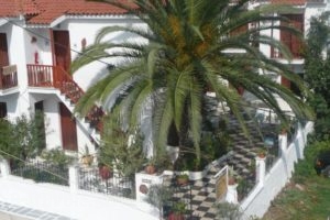 Amalthia Studios_accommodation_in_Hotel_Sporades Islands_Skiathos_Achladies