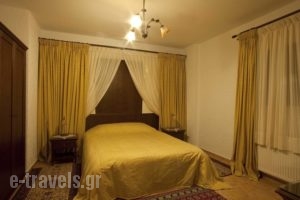 Pindos Palace_holidays_in_Hotel_Macedonia_Grevena_Lavdas