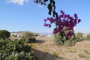 Galaxias Apartments_lowest prices_in_Room_Crete_Heraklion_Tymbaki