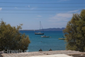 Ostria Studios & Apartments_travel_packages_in_Cyclades Islands_Paros_Alyki