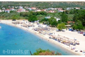 Sissy's Villas_best deals_Villa_Aegean Islands_Thasos_Potos