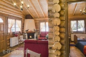 Sfendamos Wood Village_accommodation_in_Hotel_Macedonia_Kozani_Emporio