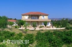 Aggelina’s Apartments in Kefalonia Rest Areas, Kefalonia, Ionian Islands