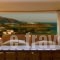Eleni Studios_lowest prices_in_Hotel_Crete_Lasithi_Ammoudara