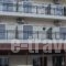 Evans Hotel_best prices_in_Hotel_Crete_Heraklion_Heraklion City