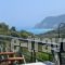 Althea Studios_accommodation_in_Hotel_Ionian Islands_Lefkada_Lefkada Chora