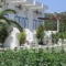 Nefeli Apartments_holidays_in_Apartment_Dodekanessos Islands_Kos_Kefalos