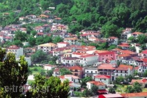 Karakikes - Rooms to Let_accommodation_in_Hotel_Thessaly_Trikala_Trikala City