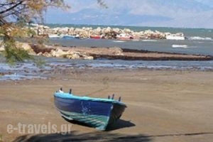 Villa Toula_travel_packages_in_Ionian Islands_Corfu_Roda