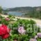 Guesthouse Moucha_holidays_in_Hotel_Thessaly_Karditsa_Neochori