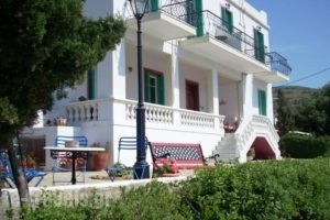 Blue Dolphin_accommodation_in_Hotel_Cyclades Islands_Andros_Batsi