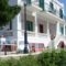 Blue Dolphin_accommodation_in_Hotel_Cyclades Islands_Andros_Batsi
