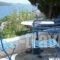 Blue Dolphin_travel_packages_in_Cyclades Islands_Andros_Batsi