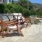 Blue Dolphin_lowest prices_in_Hotel_Cyclades Islands_Andros_Batsi