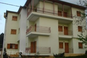 Karakikes - Rooms to Let_holidays_in_Hotel_Thessaly_Trikala_Trikala City