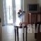 Lihas Studios_lowest prices_in_Apartment_Central Greece_Evia_Agios Georgios
