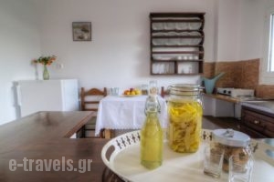 Elia & Tina Apartments_best prices_in_Apartment_Crete_Heraklion_Chersonisos
