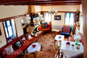 Guesthouse Napoleon Zagklis_lowest prices_in_Room_Epirus_Ioannina_Kalarites