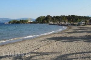 El Greco Eretria_best prices_in_Hotel_Central Greece_Evia_Eretria