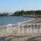 El Greco Eretria_best prices_in_Hotel_Central Greece_Evia_Eretria