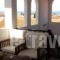 Elsa Apartments_lowest prices_in_Apartment_Macedonia_Halkidiki_Haniotis - Chaniotis