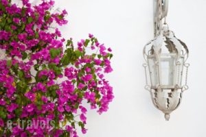 Smaragdi Hotel_best deals_Apartment_Cyclades Islands_Sifnos_Artemonas