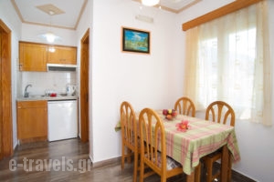 Nikos Studios_lowest prices_in_Apartment_Ionian Islands_Kefalonia_Sami