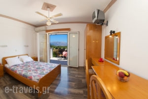 Nikos Studios_holidays_in_Apartment_Ionian Islands_Kefalonia_Sami