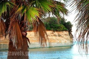 Corfu Sea Palm_holidays_in_Room_Ionian Islands_Corfu_Aghios Ioannis Peristeron